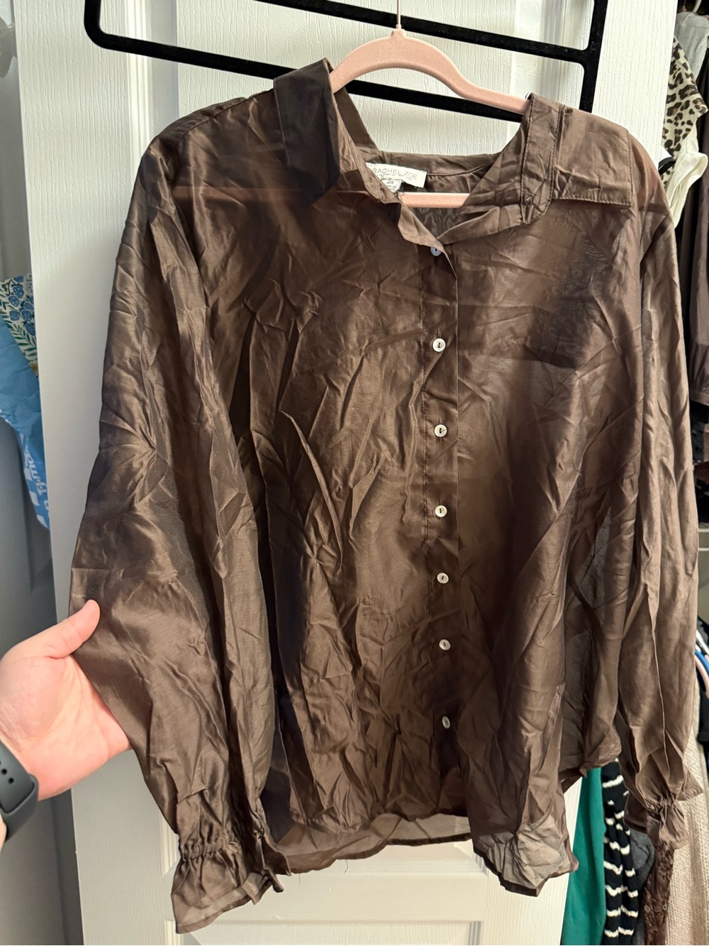 Rachel Zoe Brown Sheer Long-Sleeve Button-Down Blouse